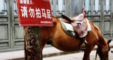 刘勇:不要拍马屁 让人舒服就好